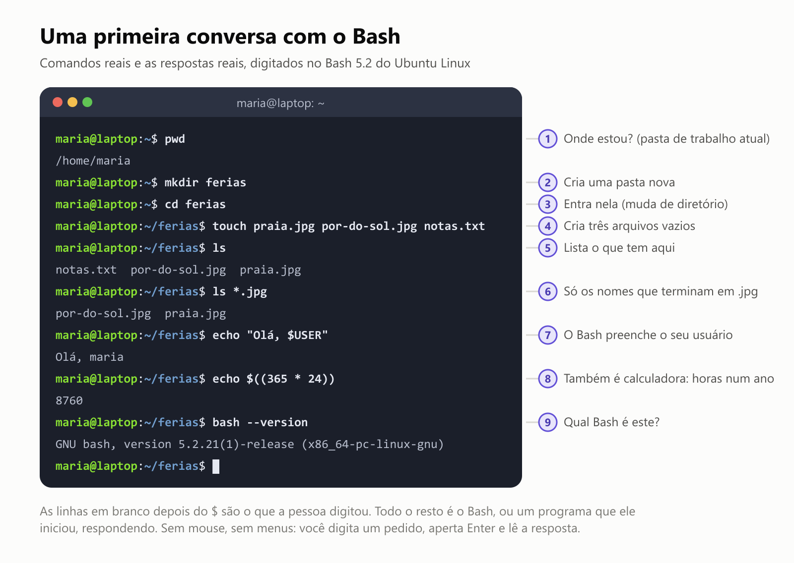 Uma primeira conversa com o Bash, com comandos reais e as respostas reais, digitados no Bash 5.2 do Ubuntu Linux. 1, pwd, que significa mostrar a pasta de trabalho atual, responde /home/maria. 2, mkdir ferias cria uma pasta nova. 3, cd ferias entra nela. 4, touch praia.jpg por-do-sol.jpg notas.txt cria três arquivos vazios. 5, ls lista o que tem aqui: notas.txt, por-do-sol.jpg e praia.jpg. 6, ls *.jpg lista só os nomes que terminam em .jpg: por-do-sol.jpg e praia.jpg. 7, echo "Olá, $USER" responde Olá, maria, porque o Bash preenche o seu usuário. 8, echo $((365 * 24)) responde 8760, as horas de um ano, então também é calculadora. 9, bash --version responde GNU bash, version 5.2.21. Sem mouse, sem menus: você digita um pedido, aperta Enter e lê a resposta