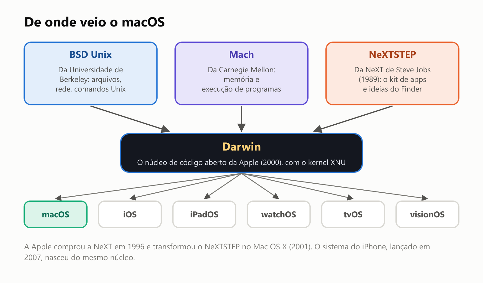 De onde veio o macOS, como uma árvore genealógica. Três ancestrais formam o Darwin: o BSD Unix, da Universidade de Berkeley, para arquivos, rede e comandos Unix; o Mach, da Carnegie Mellon, para memória e execução de programas; e o NeXTSTEP, da NeXT de Steve Jobs, de 1989, para o kit de apps e ideias do Finder. O Darwin é o núcleo de código aberto da Apple, de 2000, com o kernel XNU. Do Darwin nascem o macOS, o iOS, o iPadOS, o watchOS, o tvOS e o visionOS. A Apple comprou a NeXT em 1996 e transformou o NeXTSTEP no Mac OS X em 2001. O sistema do iPhone, lançado em 2007, nasceu do mesmo núcleo