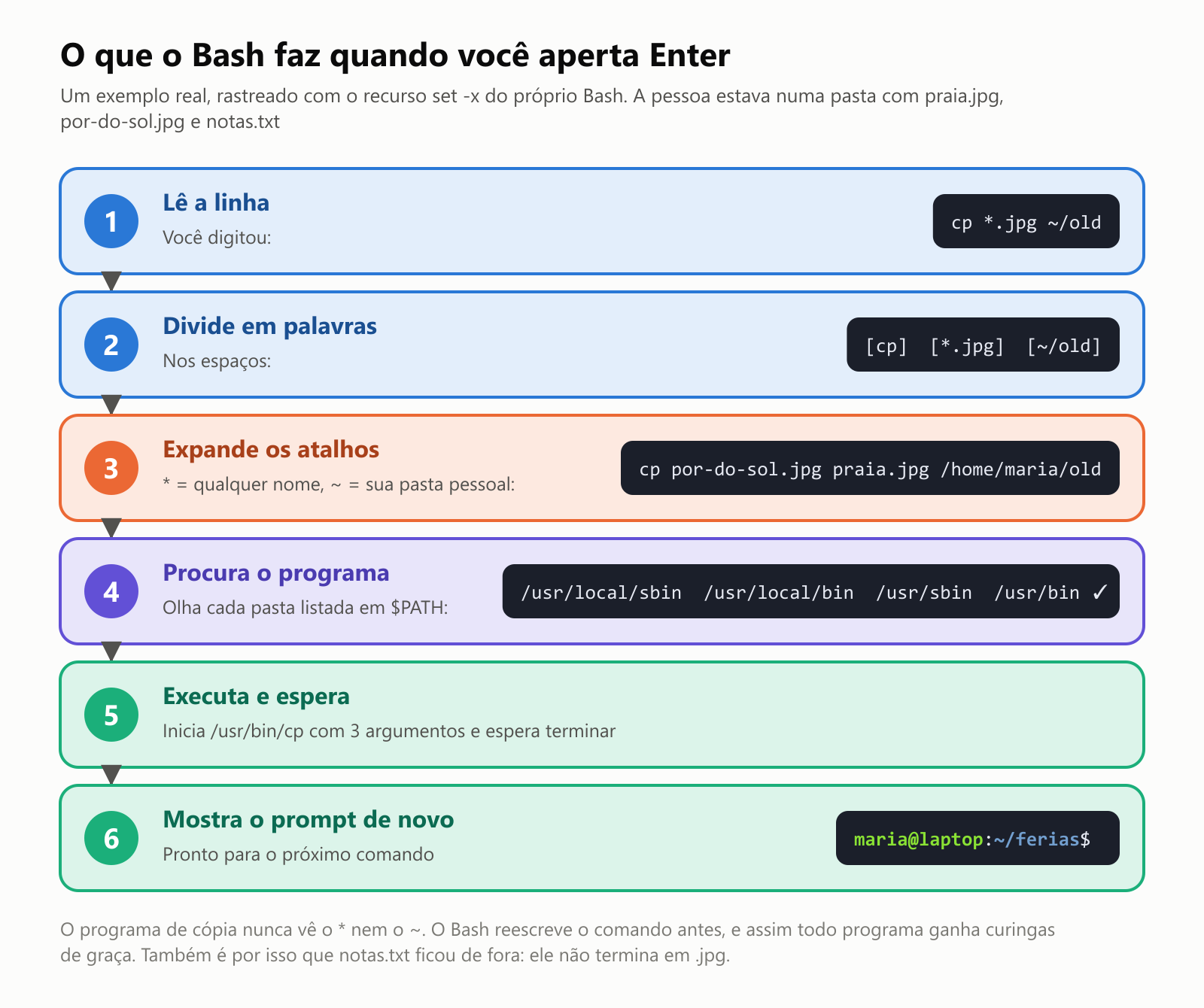 O que o Bash faz quando você aperta Enter, um exemplo real rastreado com o recurso set -x do Bash, numa pasta com praia.jpg, por-do-sol.jpg e notas.txt. Passo 1, lê a linha: você digitou cp *.jpg ~/old. Passo 2, divide em palavras nos espaços: cp, *.jpg e ~/old. Passo 3, expande os atalhos, em que o asterisco é qualquer nome e o til é a sua pasta pessoal: o comando vira cp por-do-sol.jpg praia.jpg /home/maria/old. Passo 4, procura o programa olhando cada pasta listada na variável PATH: /usr/local/sbin, /usr/local/bin, /usr/sbin e por fim /usr/bin, onde o cp é encontrado. Passo 5, executa /usr/bin/cp com 3 argumentos e espera terminar. Passo 6, mostra o prompt de novo, pronto para o próximo comando. O programa de cópia nunca vê o asterisco nem o til. O Bash reescreve o comando antes, e assim todo programa ganha curingas de graça