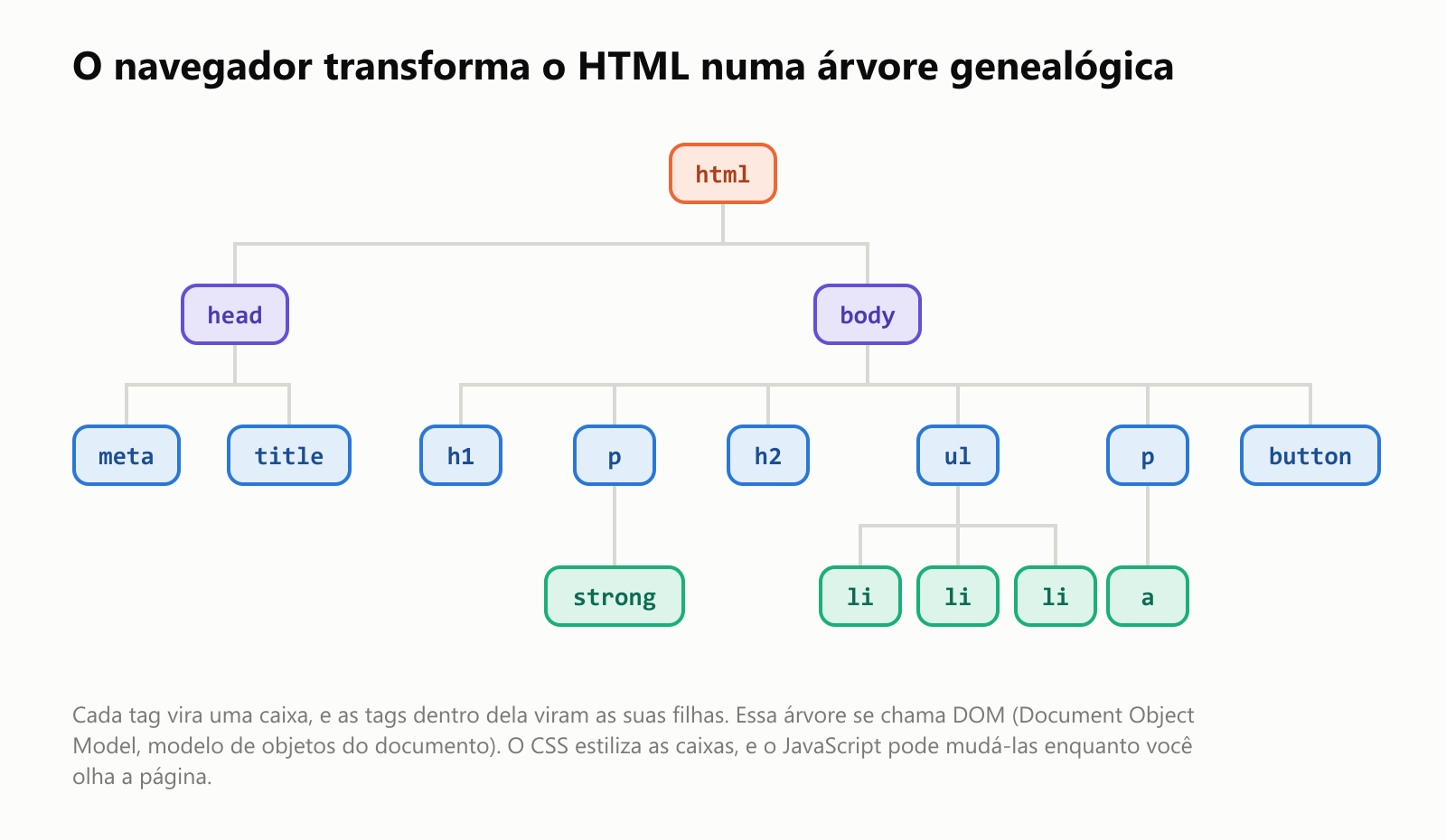 O navegador transforma o HTML numa árvore genealógica. No topo está html. As suas duas filhas são head e body. Sob head estão meta e title. Sob body estão h1, p, h2, ul, p e button. Sob o primeiro p está strong. Sob ul estão três itens li. Sob o segundo p está a. Cada tag vira uma caixa, e as tags dentro dela viram as suas filhas. Essa árvore se chama DOM, Document Object Model, modelo de objetos do documento. O CSS estiliza as caixas, e o JavaScript pode mudá-las enquanto você olha a página