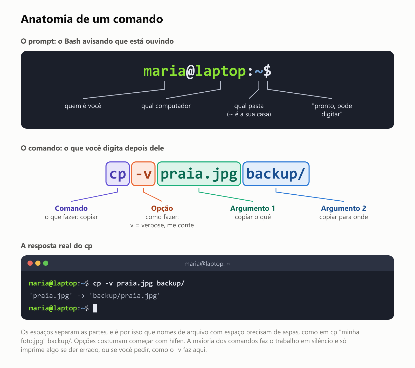 Anatomia de um comando. O prompt, maria@laptop:~$, é o Bash avisando que está ouvindo: maria é quem é você, laptop é qual computador, o til é qual pasta (o til é a sua pasta pessoal) e o cifrão quer dizer "pronto, pode digitar". O comando cp -v praia.jpg backup/ tem quatro partes. cp é o comando: o que fazer, copiar. -v é uma opção: como fazer, v de verbose, me conte o que fez. praia.jpg é o argumento 1: copiar o quê. backup/ é o argumento 2: copiar para onde. A resposta real do cp é 'praia.jpg' -> 'backup/praia.jpg'. Os espaços separam as partes, e é por isso que nomes de arquivo com espaço precisam de aspas. Opções costumam começar com hífen