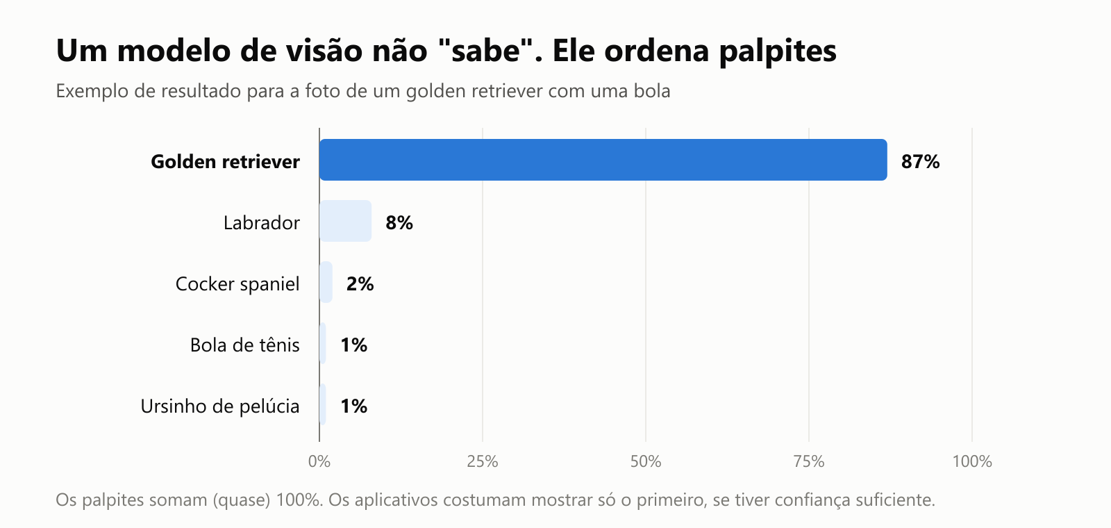 Um exemplo de resultado para a foto de um golden retriever com uma bola. Golden retriever 87%, labrador 8%, cocker spaniel 2%, bola de tênis 1%, ursinho de pelúcia 1%
