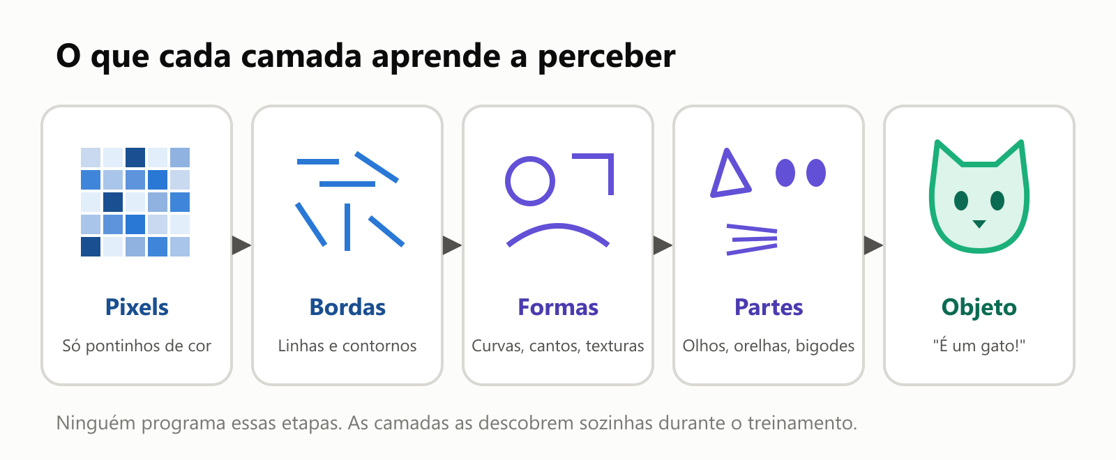 O que cada camada aprende a perceber. Pixels: só pontinhos de cor. Bordas: linhas e contornos. Formas: curvas, cantos, texturas. Partes: olhos, orelhas, bigodes. Objeto: é um gato