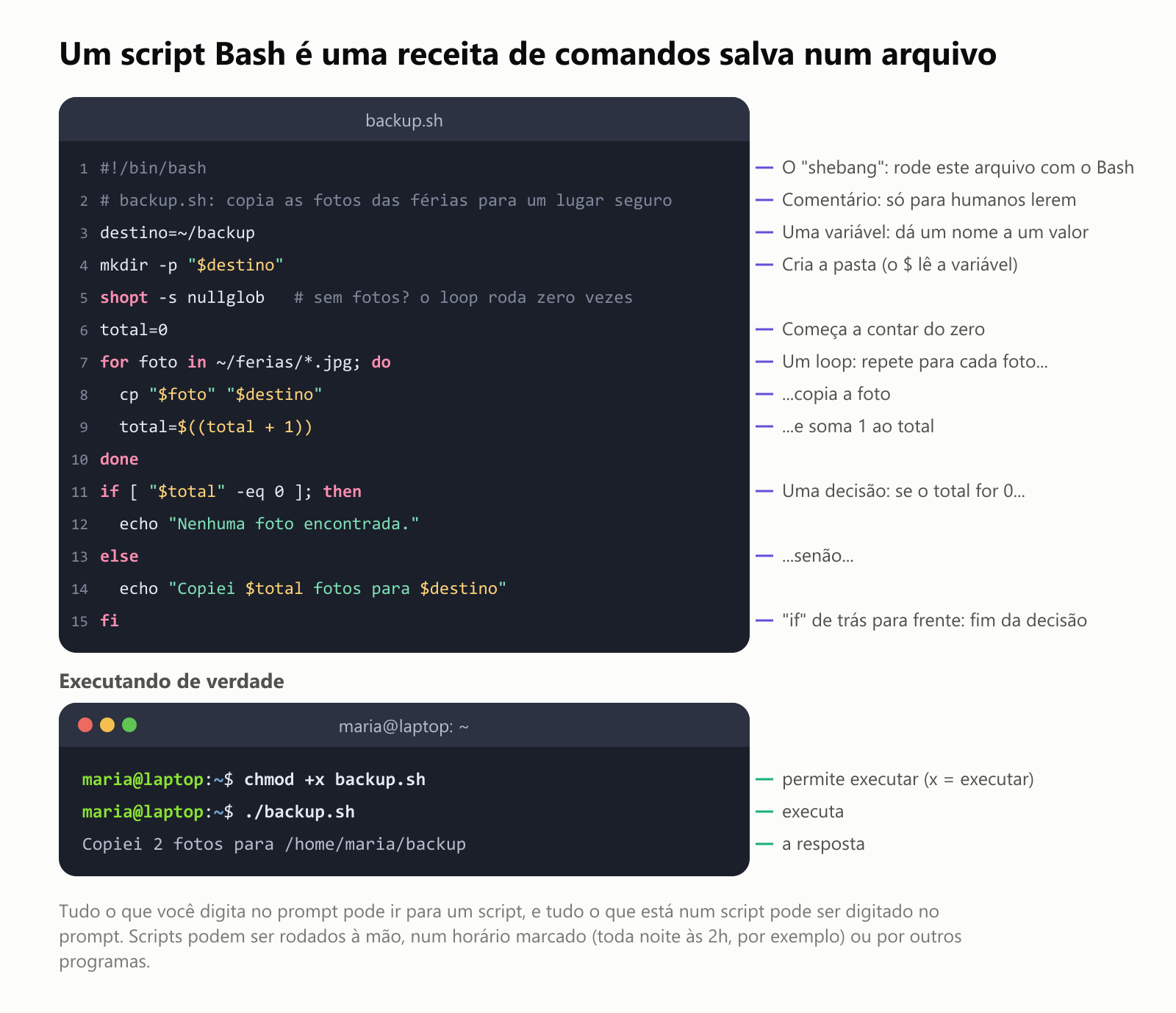 Um script Bash é uma receita de comandos salva num arquivo, chamado backup.sh. A linha 1, #!/bin/bash, é o "shebang": rode este arquivo com o Bash. A linha 2 é um comentário, só para humanos lerem. A linha 3, destino=~/backup, é uma variável: dá um nome a um valor. A linha 4, mkdir -p "$destino", cria a pasta, e o cifrão lê a variável. A linha 5, shopt -s nullglob, faz o loop rodar zero vezes se não houver fotos. A linha 6, total=0, começa a contar do zero. As linhas 7 a 10 são um loop: para cada foto em ~/ferias/*.jpg, copia a foto e soma 1 ao total. As linhas 11 a 15 são uma decisão: se o total for 0, diz "Nenhuma foto encontrada.", senão diz quantas fotos foram copiadas. fi, "if" de trás para frente, é o fim da decisão. Executando de verdade: chmod +x backup.sh permite executar, x de executar. ./backup.sh executa. A resposta: Copiei 2 fotos para /home/maria/backup